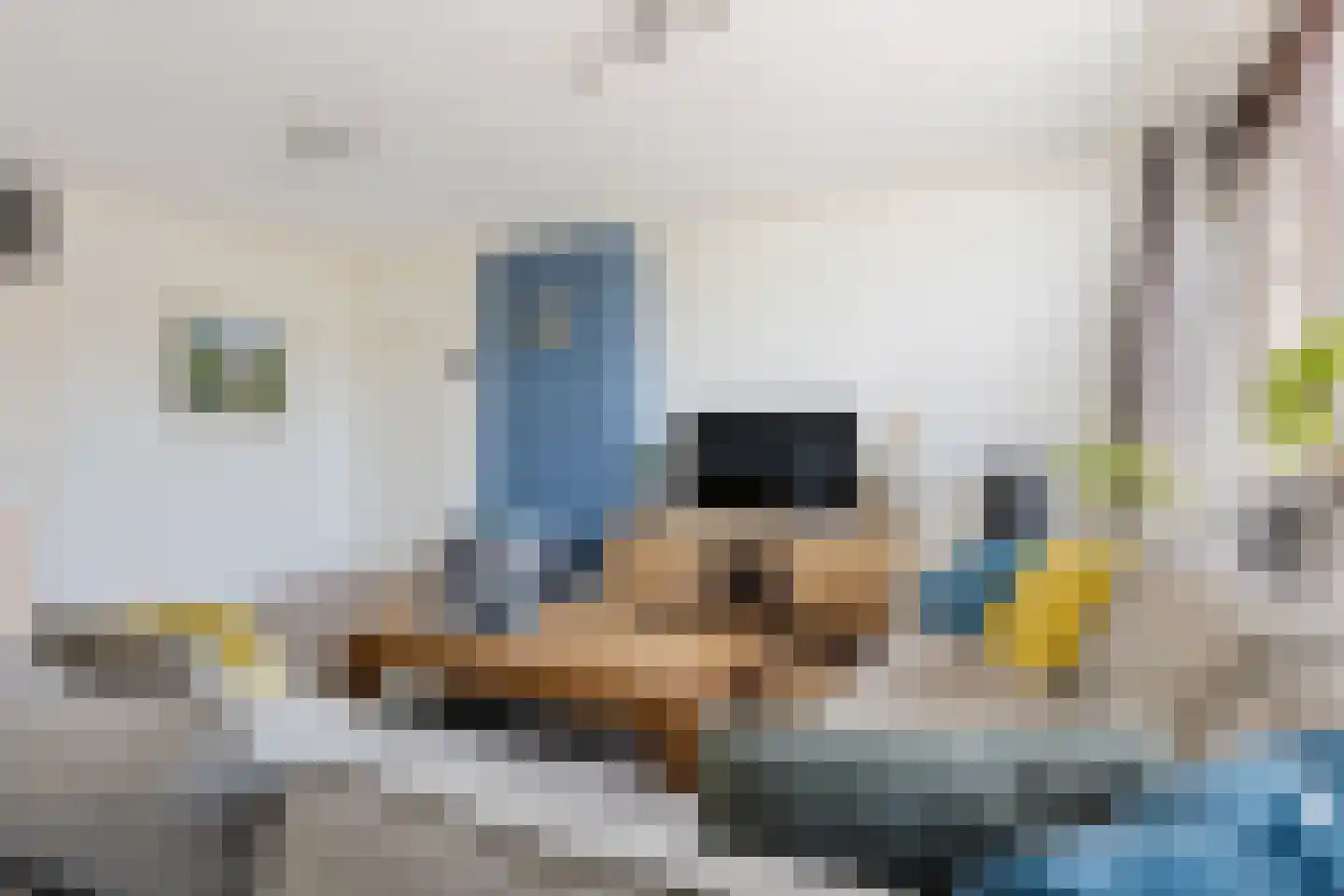Roerdompstraat 52 Alphen aan den Rijn thumbnail 6