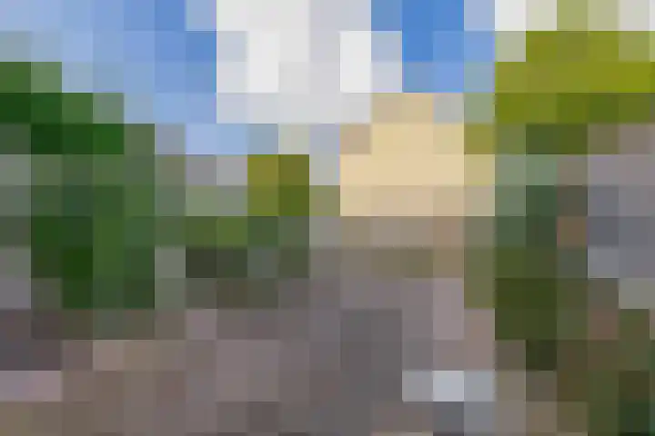Roerdompstraat 53 Wormer thumbnail 15
