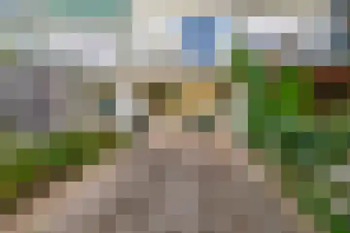 Roerdompstraat 53 Wormer thumbnail 16