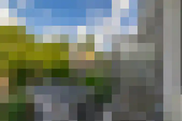 Roerdompstraat 53 Wormer thumbnail 24