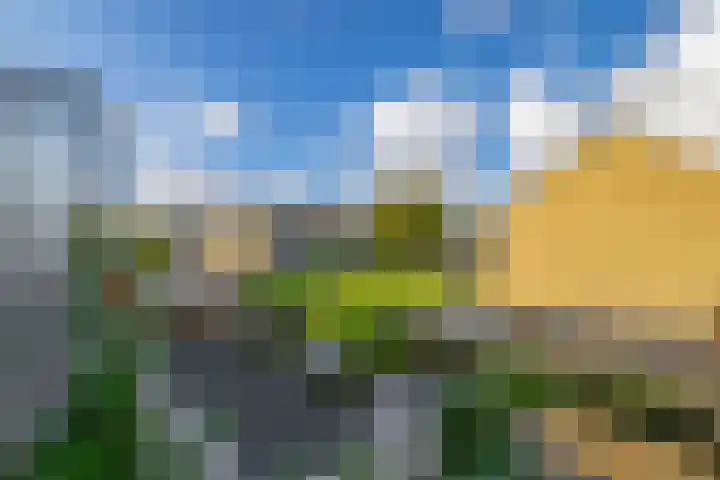 Roerdompstraat 53 Wormer thumbnail 25