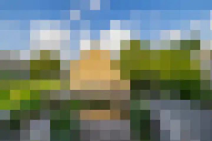 Roerdompstraat 53 Wormer thumbnail 4