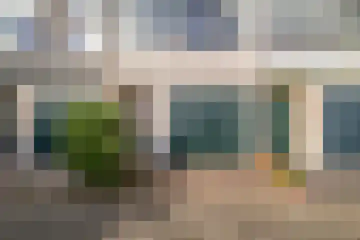 Roerdompstraat 53 Wormer thumbnail 8