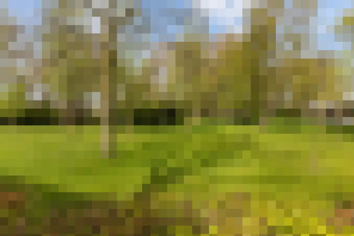 Roerdompstraat 6 Maassluis thumbnail 43