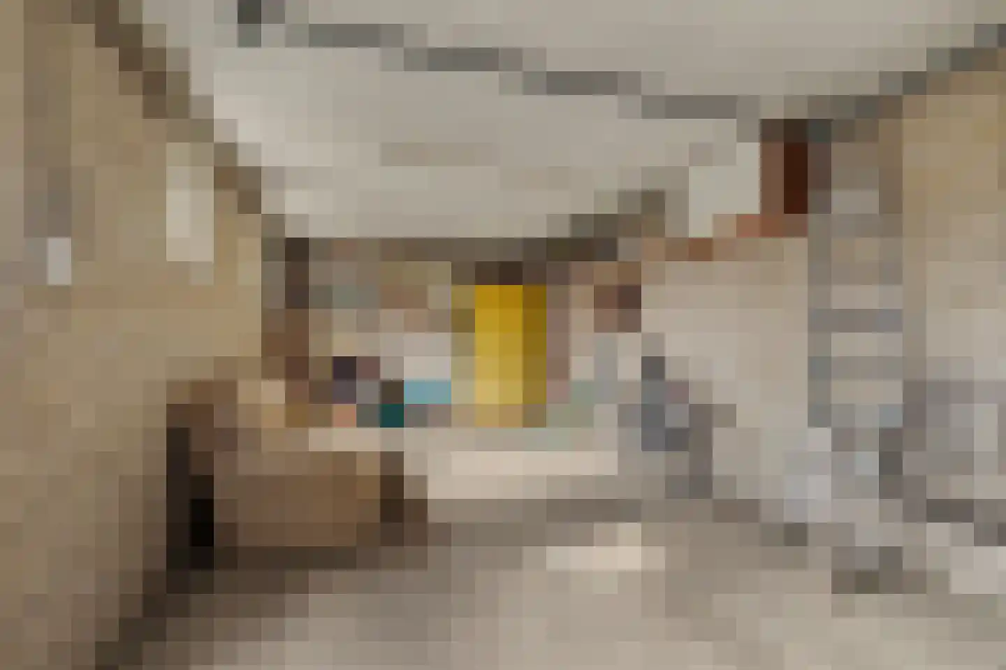 Roerdompstraat 6 Venlo thumbnail 15