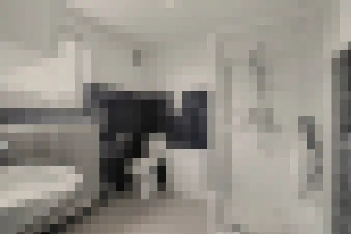 Roerdompstraat 6 Venlo thumbnail 20