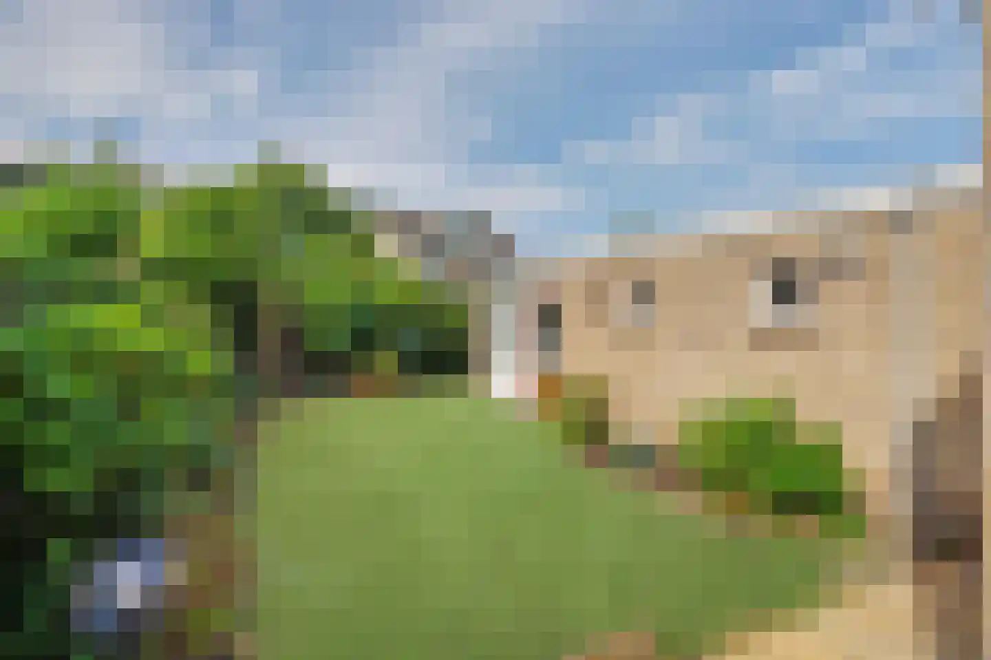 Roerdompstraat 6 Venlo thumbnail 26
