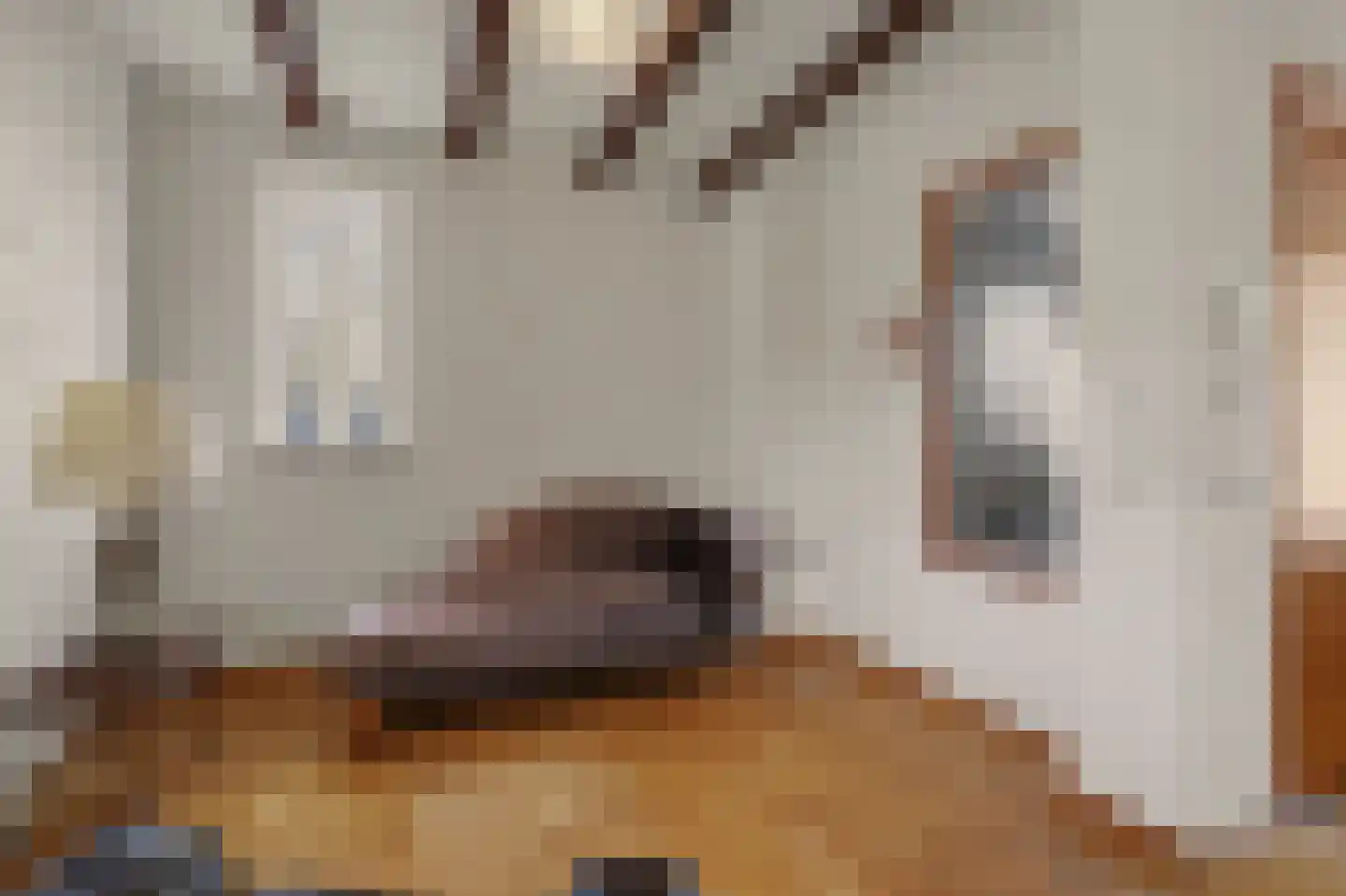 Roerdompstraat 6 Venlo thumbnail 9