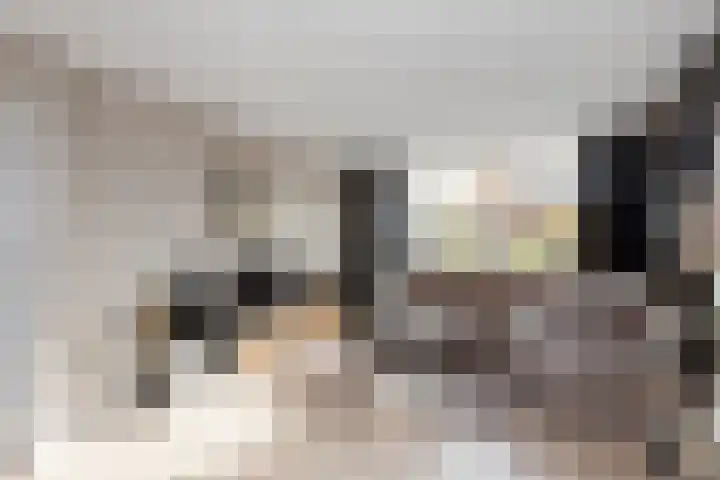 Roerdompstraat 60 Alphen aan den Rijn thumbnail 12