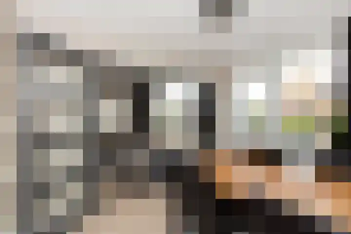Roerdompstraat 60 Alphen aan den Rijn thumbnail 15