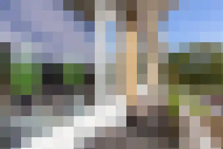 Roerdompstraat 60 Alphen aan den Rijn thumbnail 19