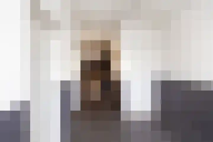 Roerdompstraat 60 Alphen aan den Rijn thumbnail 5