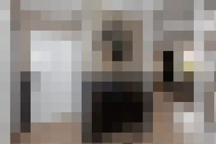 Roerdompstraat 60 Alphen aan den Rijn thumbnail 6