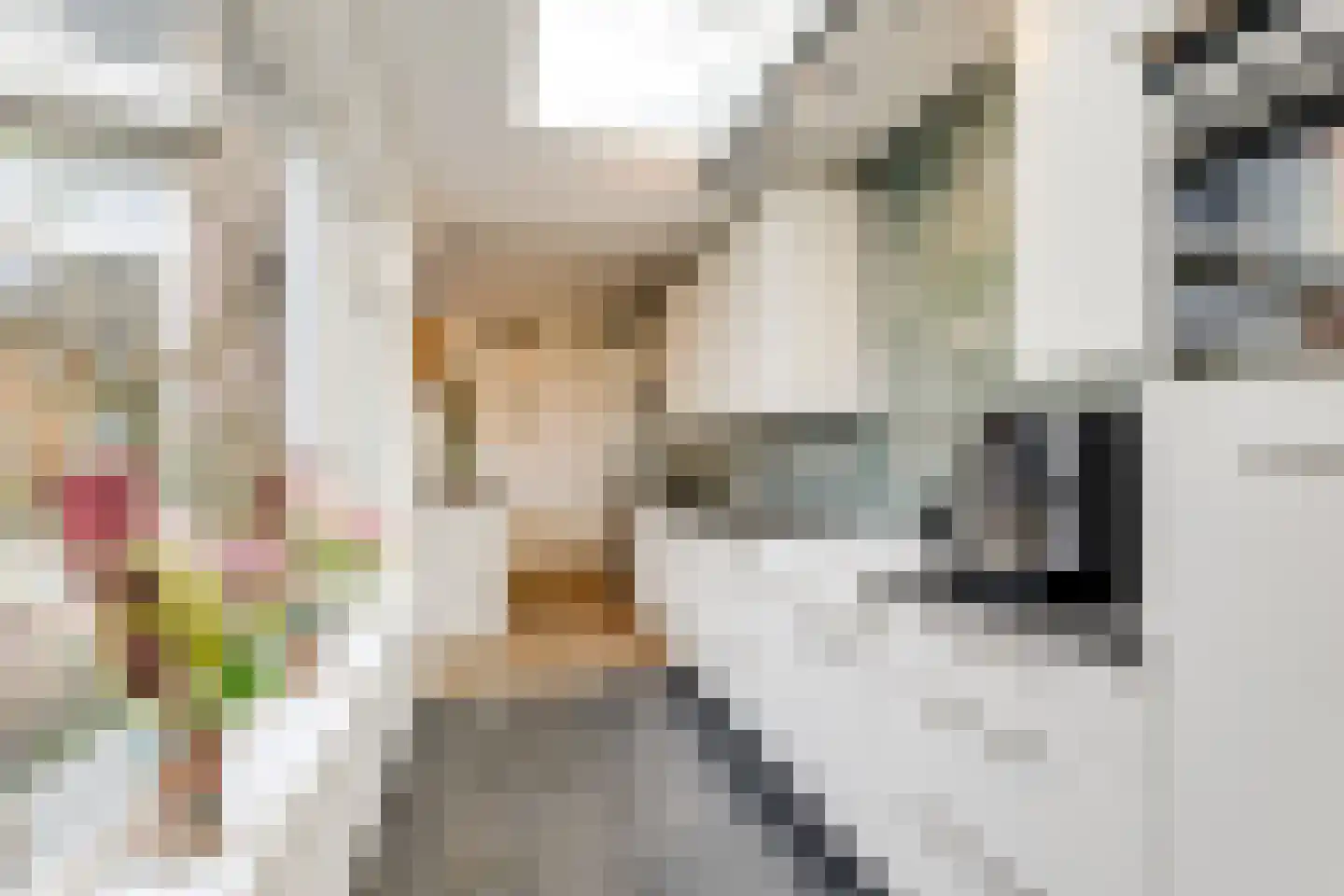 Roerdompstraat 61 Gouda thumbnail 12