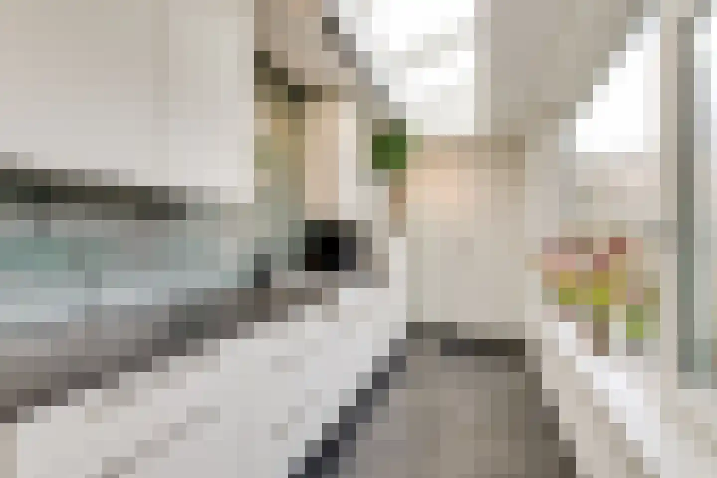 Roerdompstraat 61 Gouda thumbnail 4