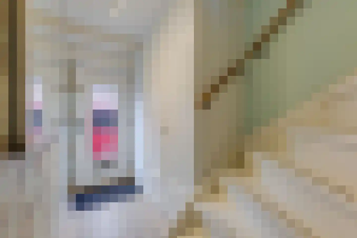 Roerdompstraat 61 Gouda thumbnail 6