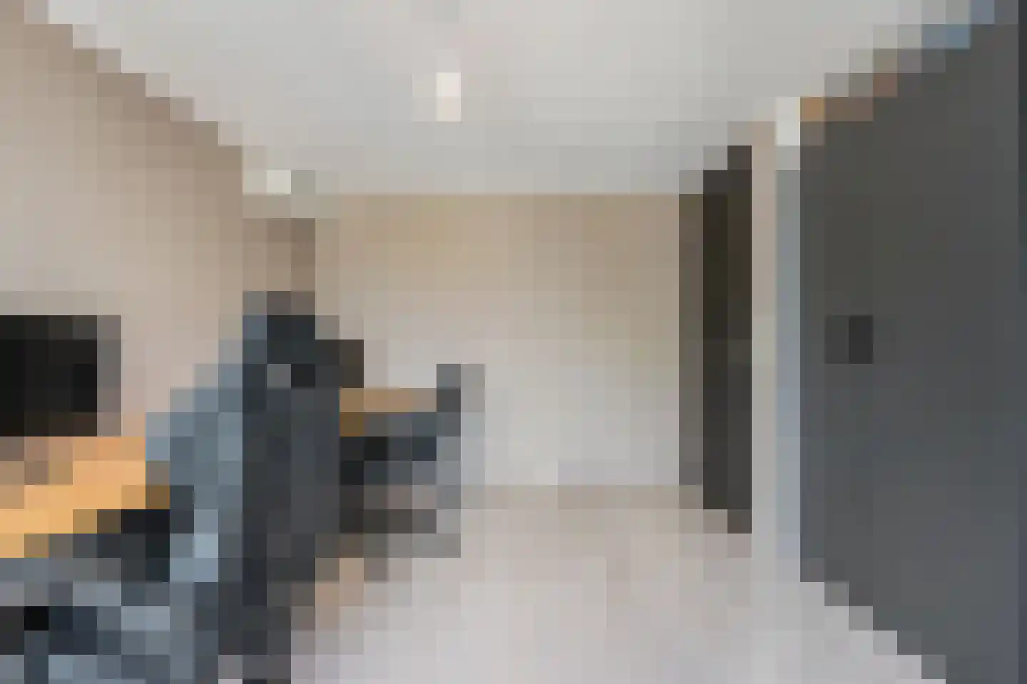 Roerdompstraat 7 Westzaan thumbnail 24