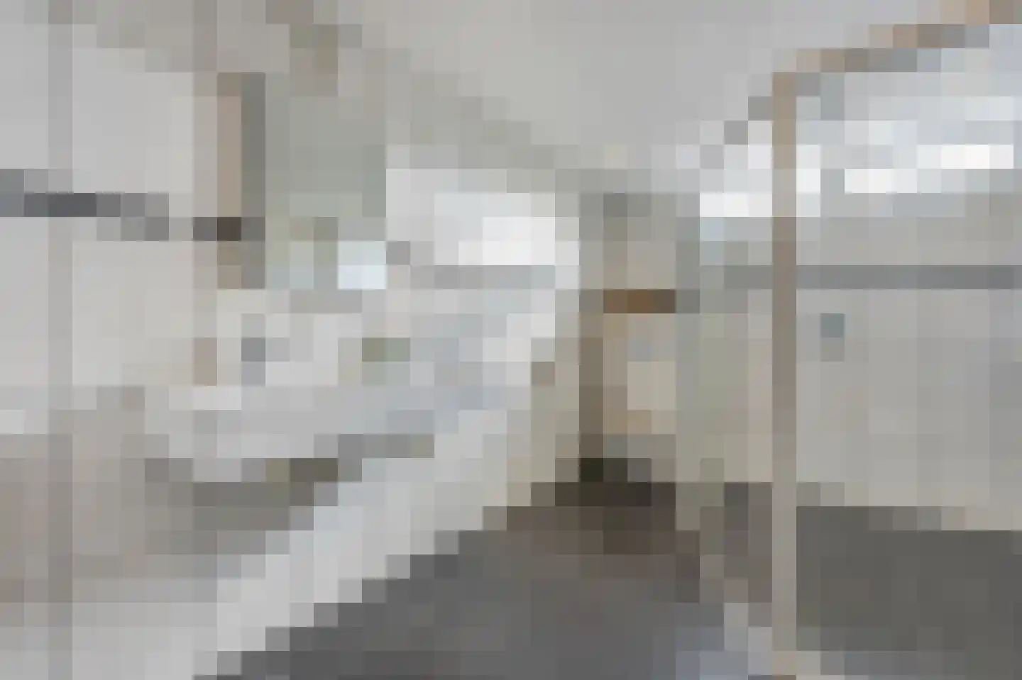 Roerdompstraat 7 Westzaan thumbnail 27