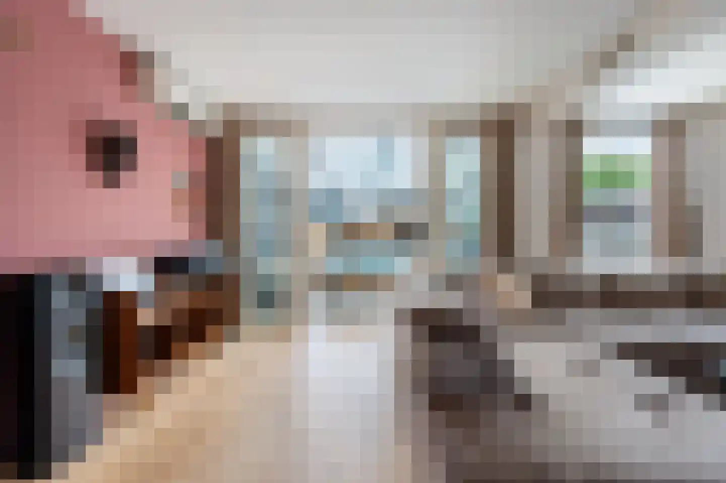 Roerdompstraat 7 Westzaan thumbnail 4