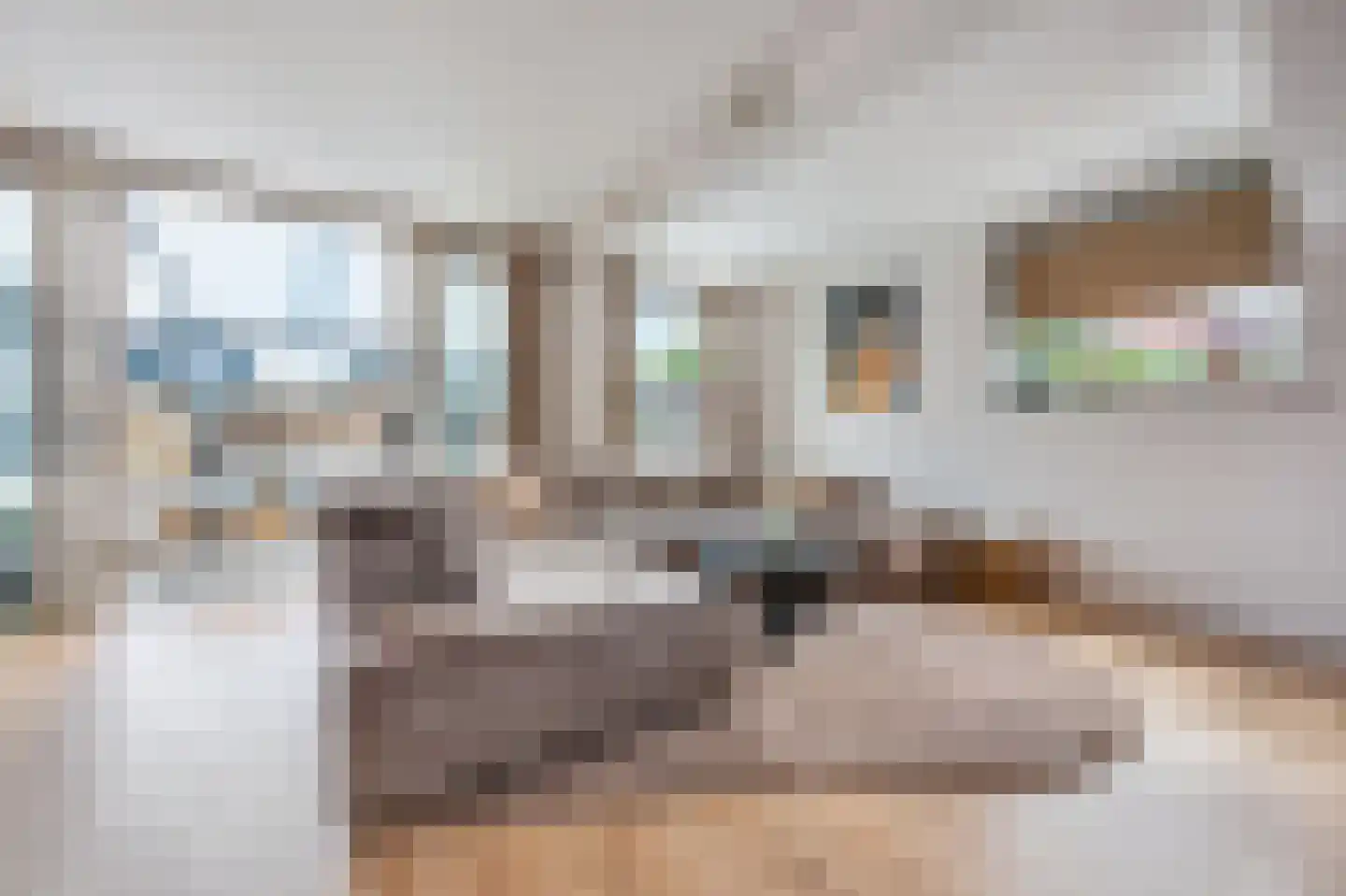 Roerdompstraat 7 Westzaan thumbnail 5