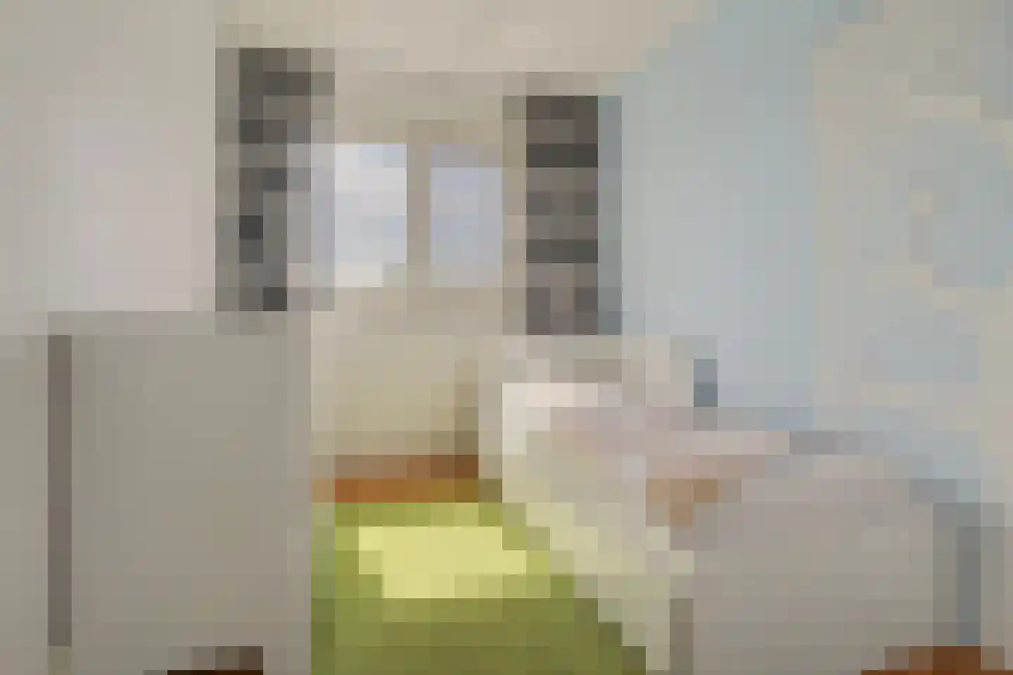Roerdompstraat 8 Hank thumbnail 18