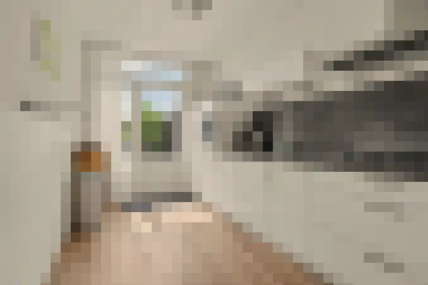Roerdompstraat 8 Hank thumbnail 4