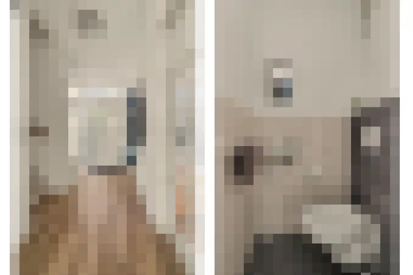 Roerdompstraat 8 Hank thumbnail 5