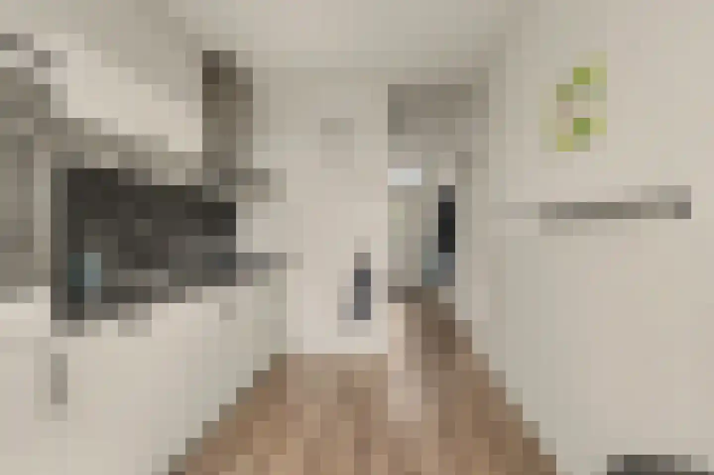 Roerdompstraat 8 Hank thumbnail 9