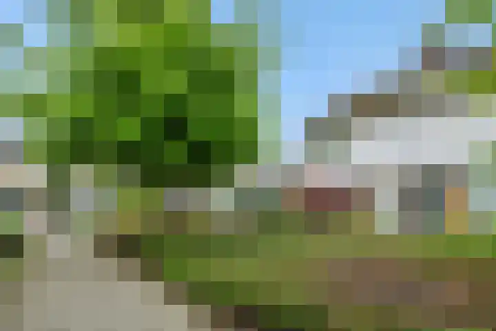 Roerdompstraat 8 Helmond thumbnail 4