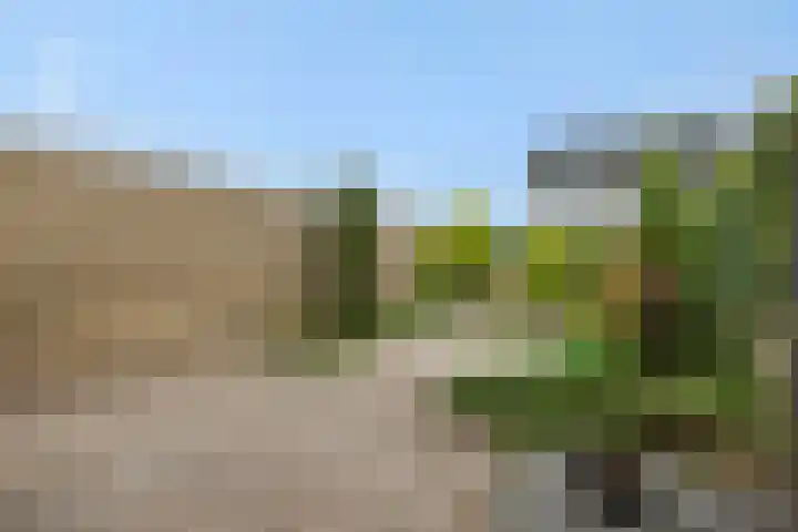 Roerdompstraat 8 Helmond thumbnail 41