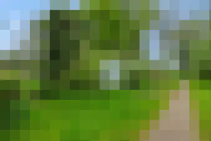 Roerdompstraat 8 Helmond thumbnail 45