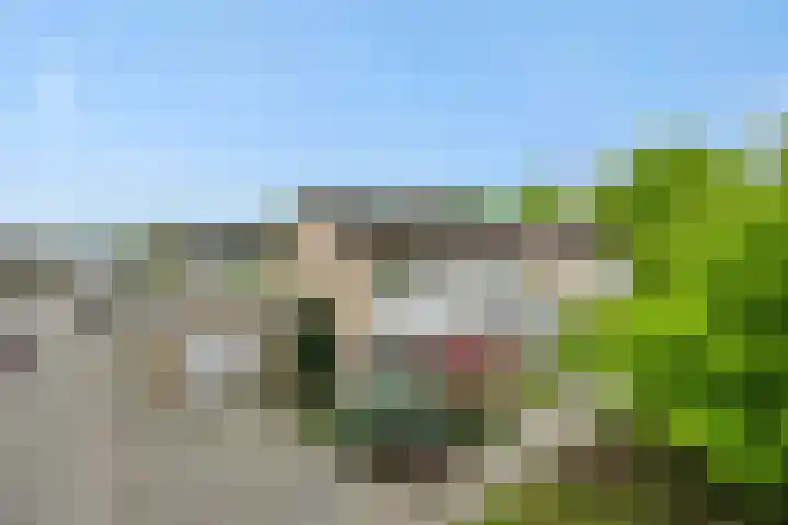 Roerdompstraat 8 Helmond thumbnail 7