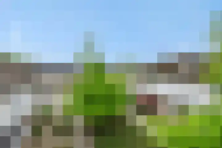Roerdompstraat 8 Helmond thumbnail 8