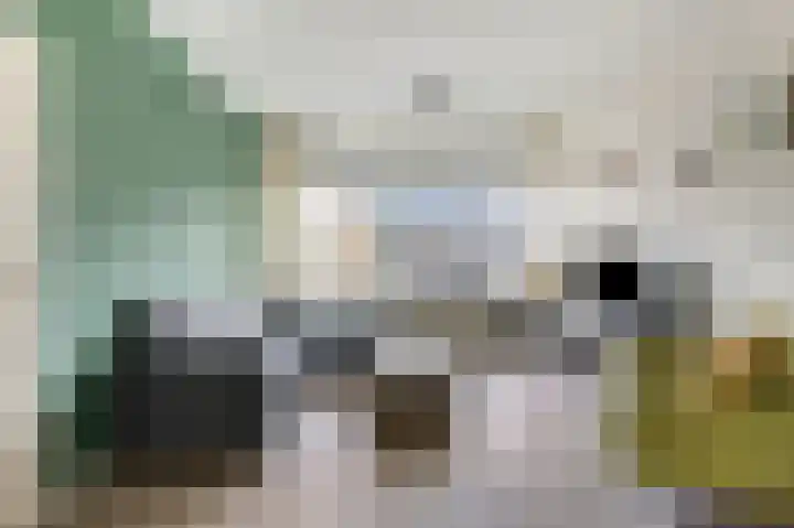 Roerdompstraat 8 Velp thumbnail 10