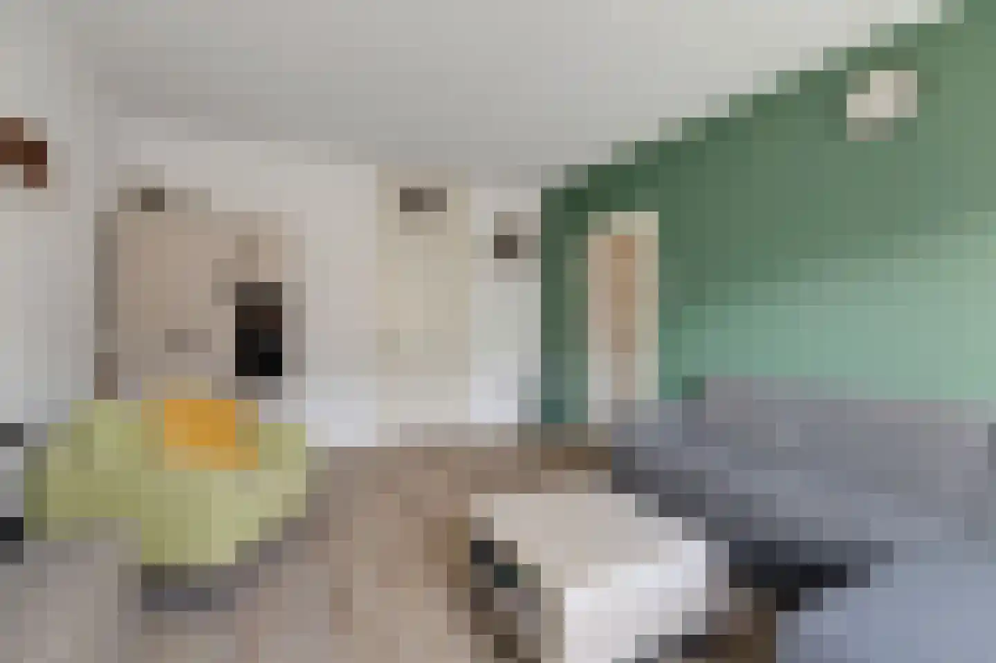 Roerdompstraat 8 Velp thumbnail 11