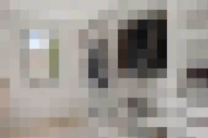 Roerdompstraat 8 Velp thumbnail 12