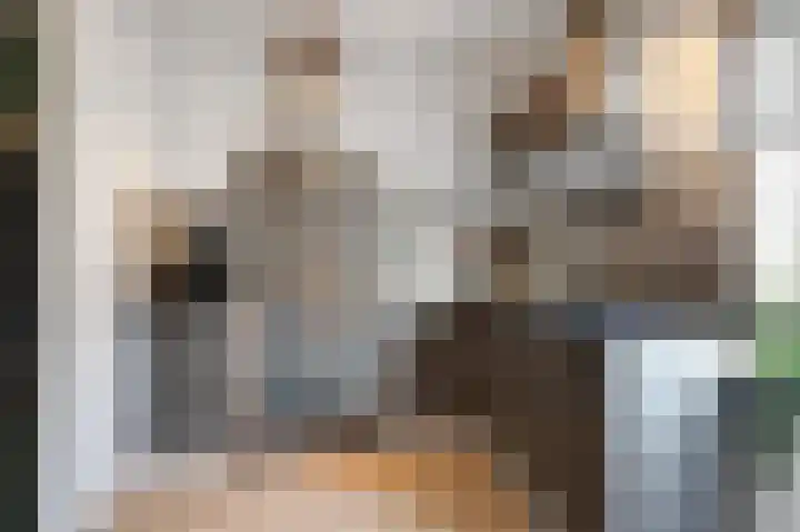 Roerdompstraat 8 Velp thumbnail 12