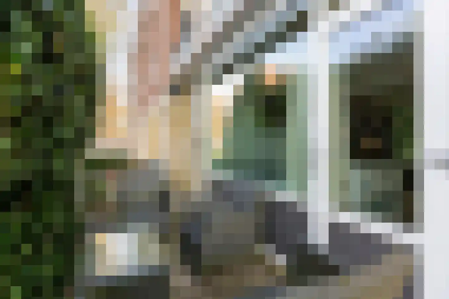 Roerdompstraat 8 Velp thumbnail 19