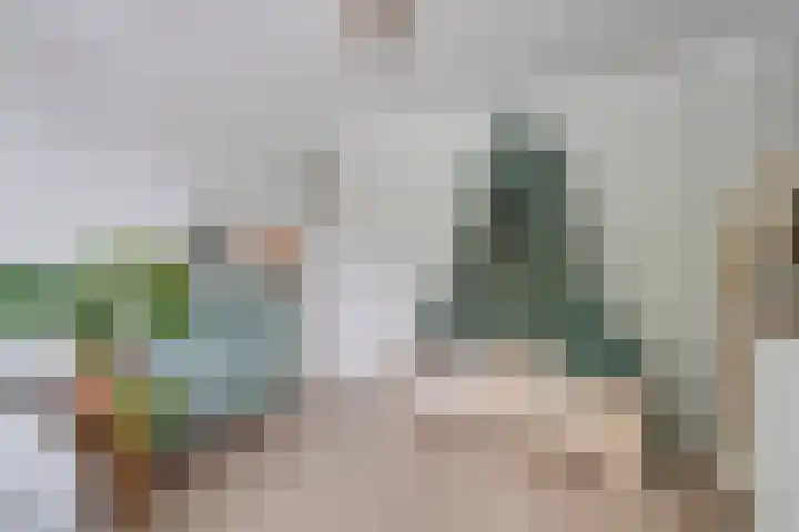 Roerdompstraat 8 Velp thumbnail 19