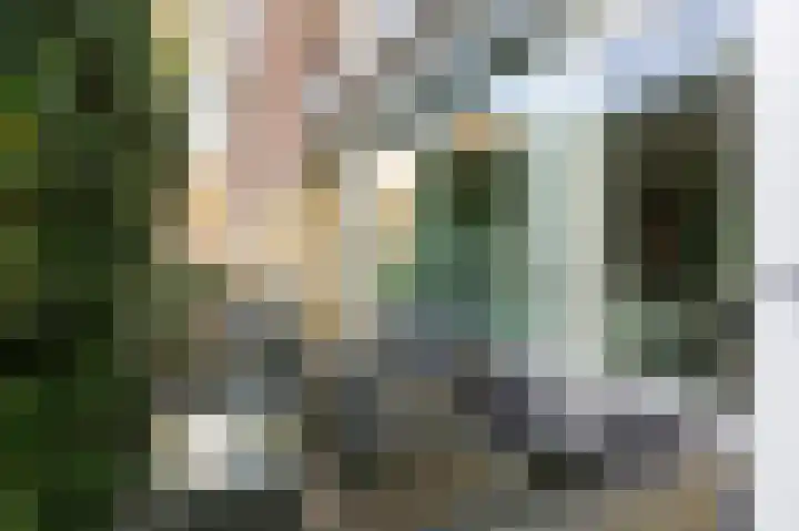 Roerdompstraat 8 Velp thumbnail 19