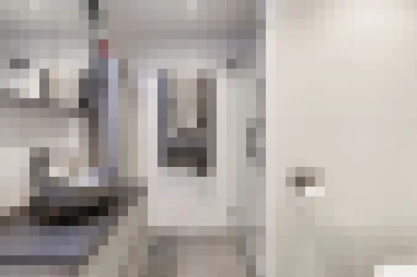 Roerdompstraat 8 Velp thumbnail 4