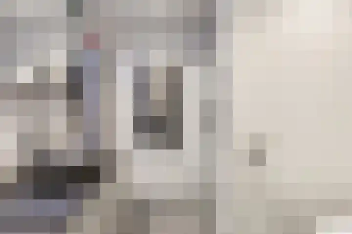 Roerdompstraat 8 Velp thumbnail 4