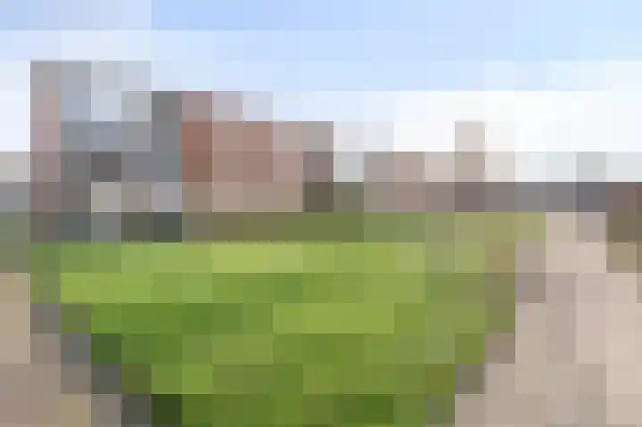 Roerdompstraat 8 Velp thumbnail 5