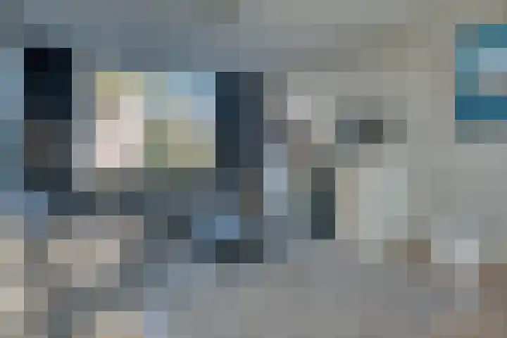 Roerdompstraat 8 Zwijndrecht thumbnail 10