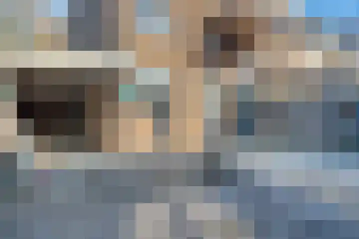 Roerdompstraat 8 Zwijndrecht thumbnail 32