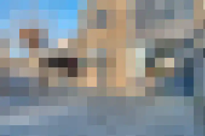 Roerdompstraat 8 Zwijndrecht thumbnail 36