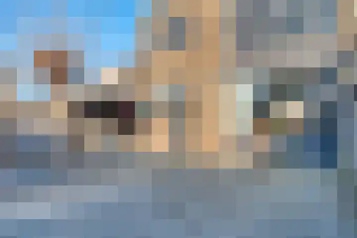 Roerdompstraat 8 Zwijndrecht thumbnail 4