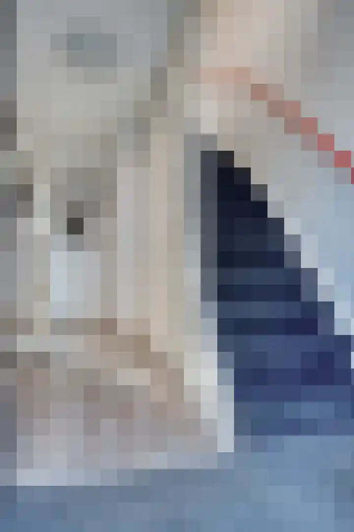 Roerdompstraat 8 Zwijndrecht thumbnail 8