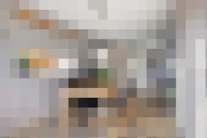 Roerdompstraat 81 Velp thumbnail 14