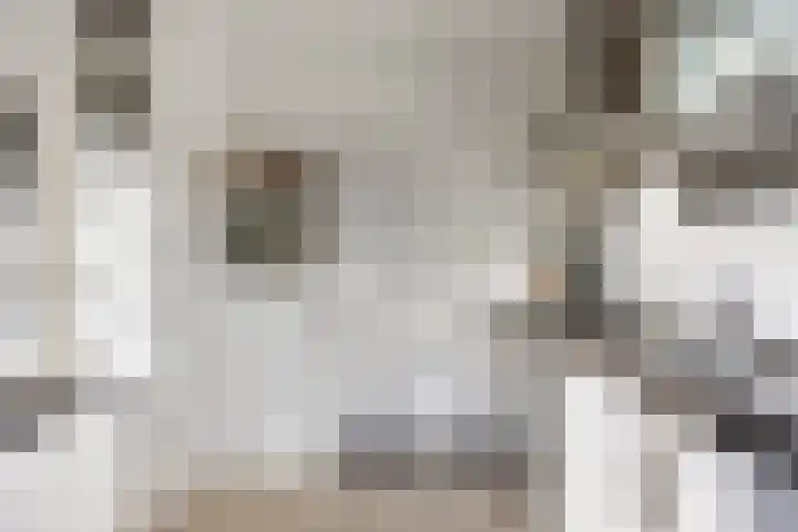 Roerdompstraat 81 Velp thumbnail 16
